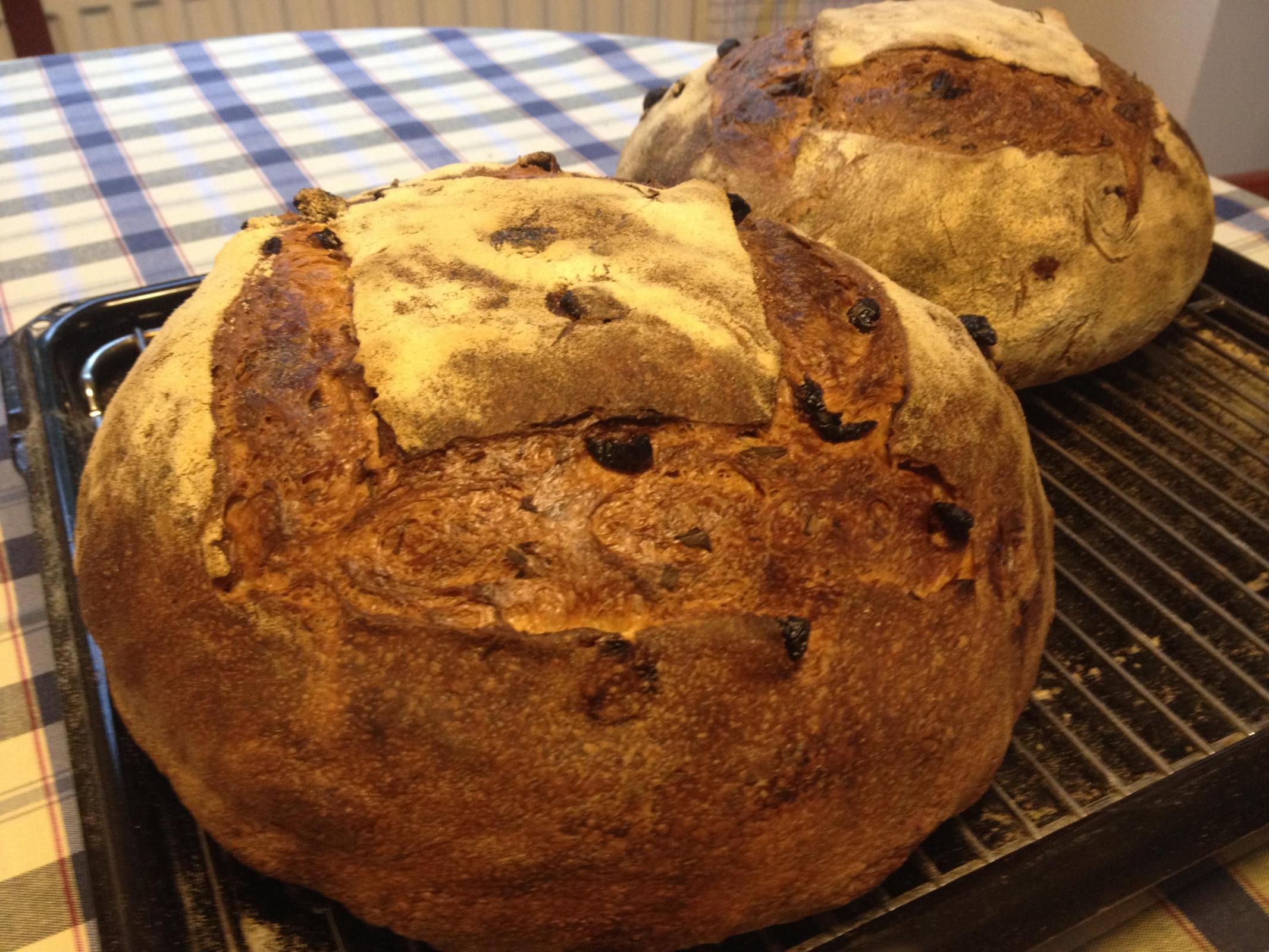 Tarragon  & Cranberries Bread